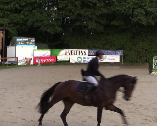Reitturnier Arnsberg-Holzen 2023