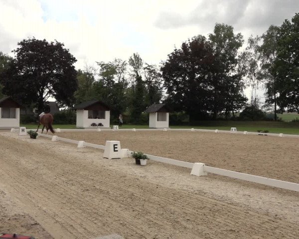 Reitturnier Niederzeuzheim 2023