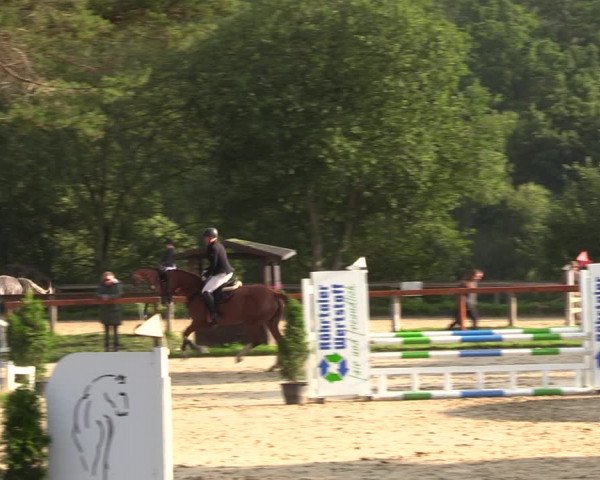 Reitturnier Arnsberg-Holzen 2023
