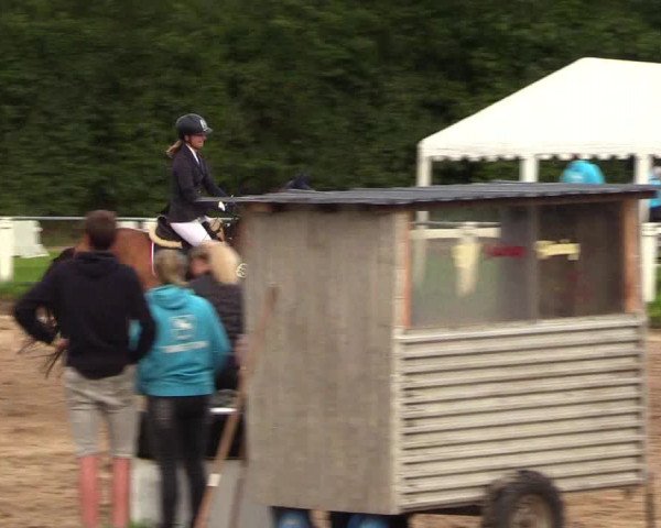 Reitturnier Sollerup 2023