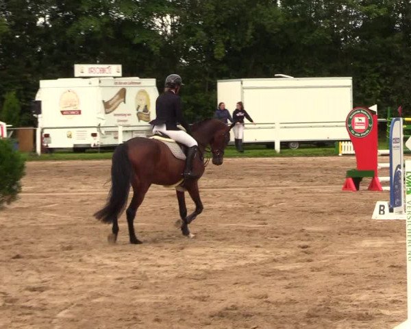 Reitturnier Sollerup 2023
