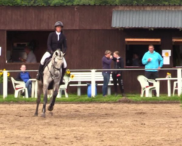 Reitturnier Sollerup 2023