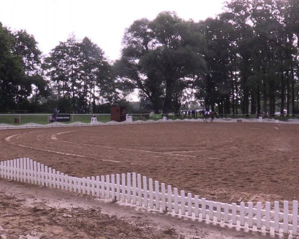 Reitturnier Zobbenitz 2023