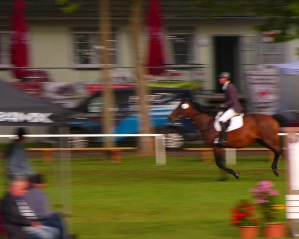 Reitturnier Zobbenitz 2023