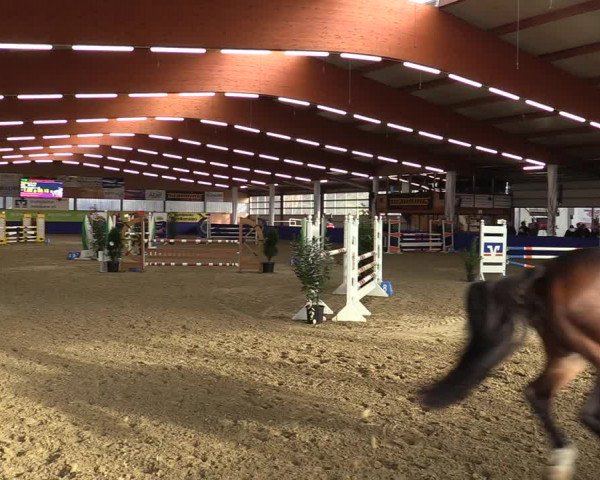 Euregio Springturnier Isterberg 2021