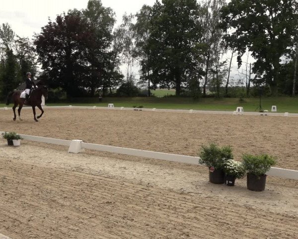 Reitturnier Niederzeuzheim 2023
