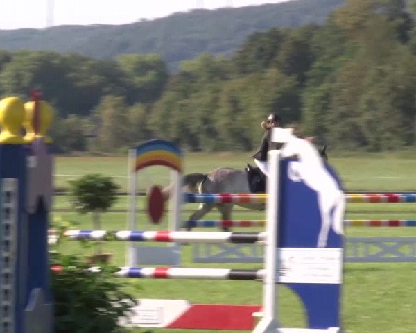 Reitturnier Bad Kissingen 2023