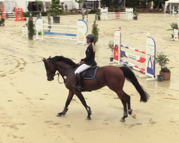 Equus Colonius - Reitanlage Brüse Köln 2021