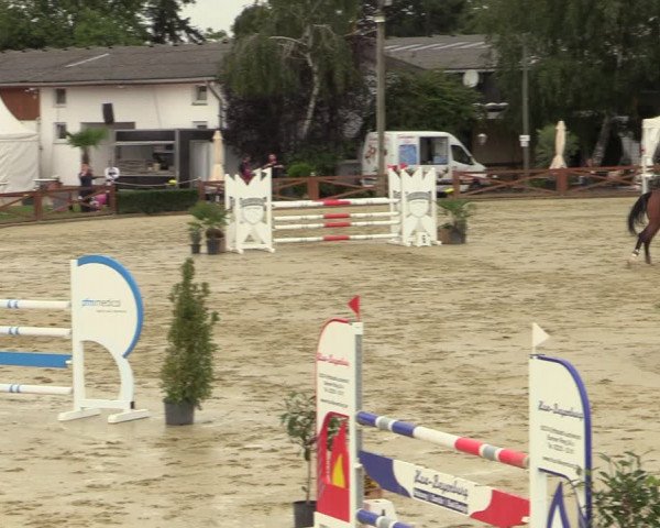 Equus Colonius - Reitanlage Brüse Köln 2021