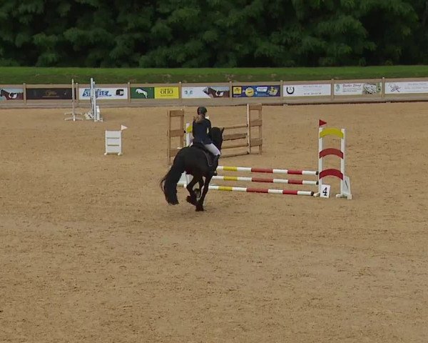Reitturnier Tiefenhof 2023