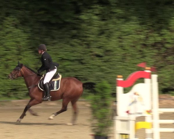Reitturnier Arnsberg-Holzen 2023