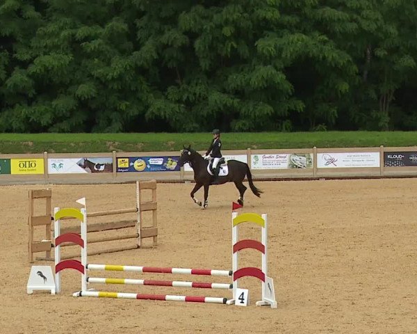 Reitturnier Tiefenhof 2023