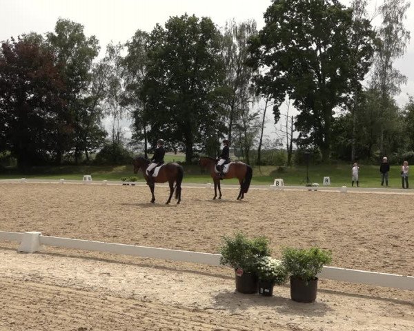 Reitturnier Niederzeuzheim 2023