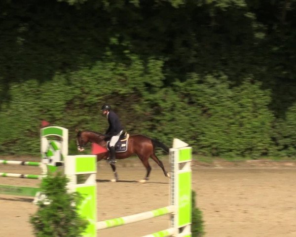 Reitturnier Arnsberg-Holzen 2023