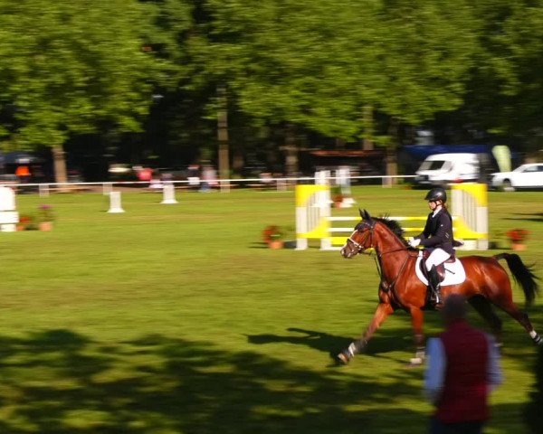 Reitturnier Zobbenitz 2023