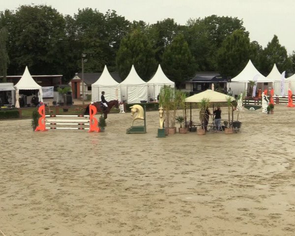 Equus Colonius - Reitanlage Brüse Köln 2021