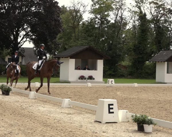 Reitturnier Niederzeuzheim 2023