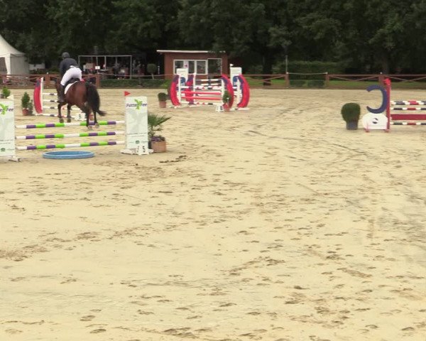 Equus Colonius - Reitanlage Brüse Köln 2021