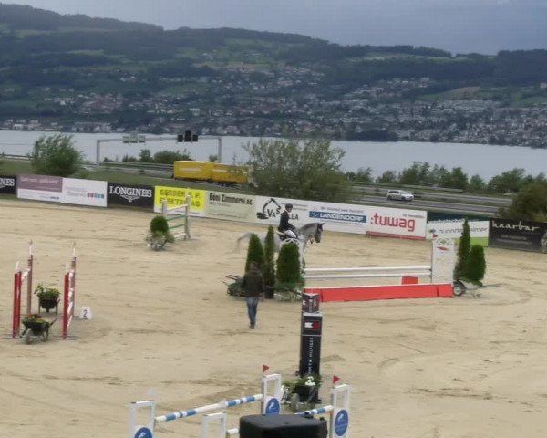 Reitturnier Wädenswil 2023
