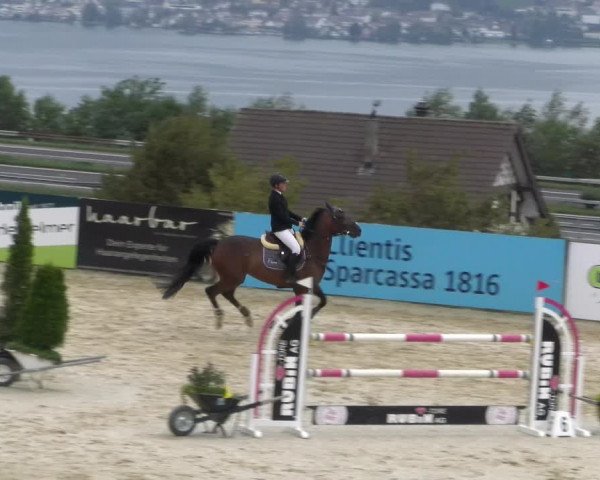 Reitturnier Wädenswil 2023