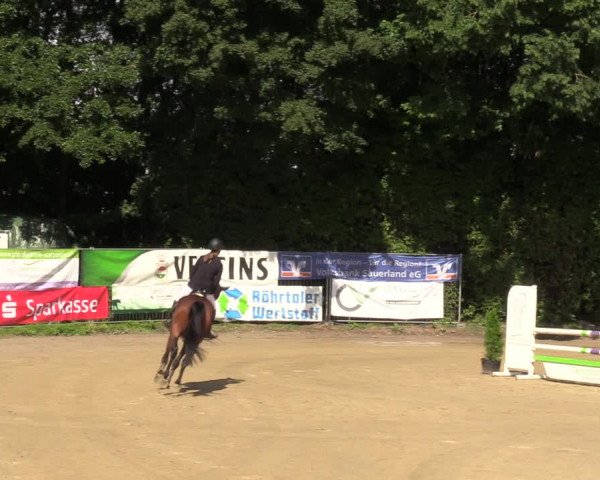 Reitturnier Arnsberg-Holzen 2023