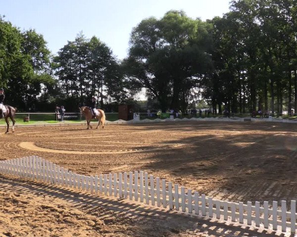 Reitturnier Zobbenitz 2023