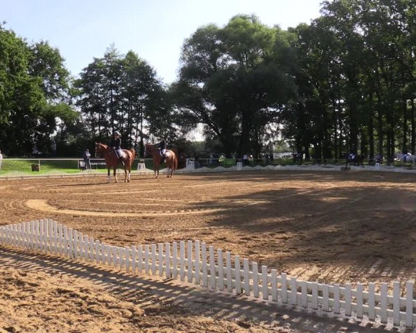 Reitturnier Zobbenitz 2023