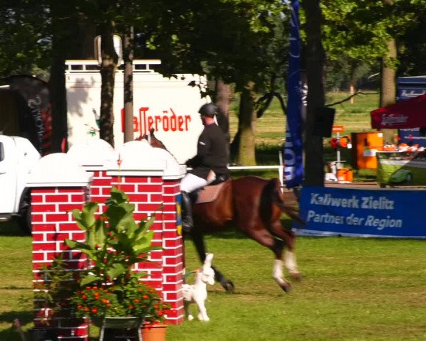 Reitturnier Zobbenitz 2023