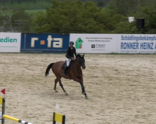 Reitturnier Wädenswil 2023