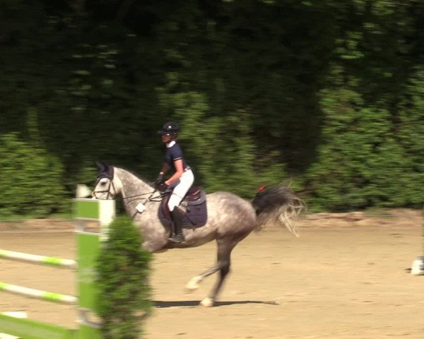 Reitturnier Arnsberg-Holzen 2023