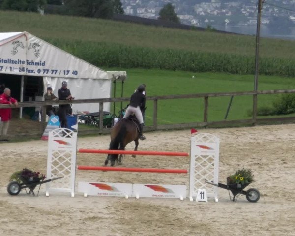 Reitturnier Wädenswil 2023
