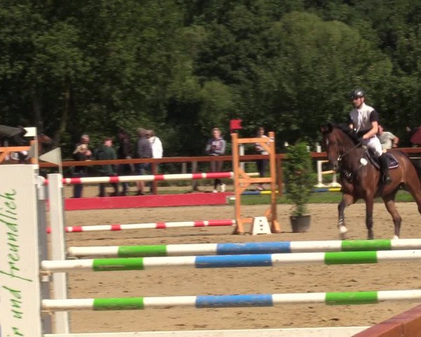 Reitturnier Arnsberg-Holzen 2023