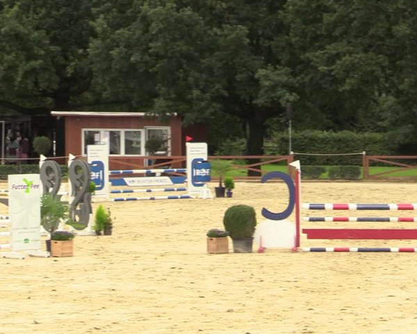 Equus Colonius - Reitanlage Brüse Köln 2021
