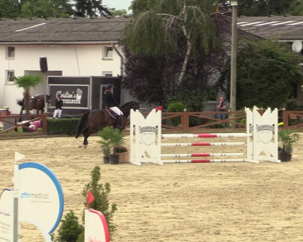 Equus Colonius - Reitanlage Brüse Köln 2021