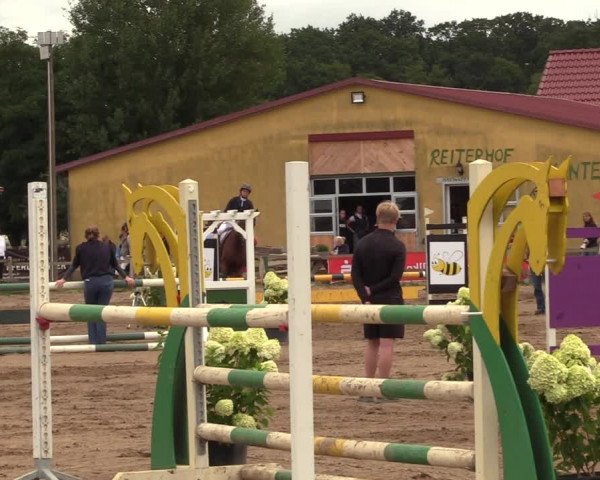 Reitturnier Altlandsberg 2023