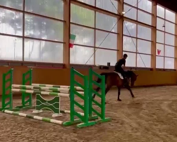 Video of Come On Plus