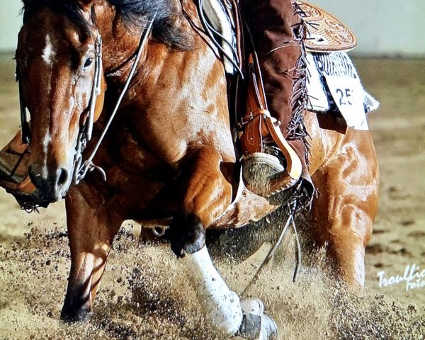 broodmare Smart Chick Solano (Quarter Horse, 2006, from Jokers Enterprise)