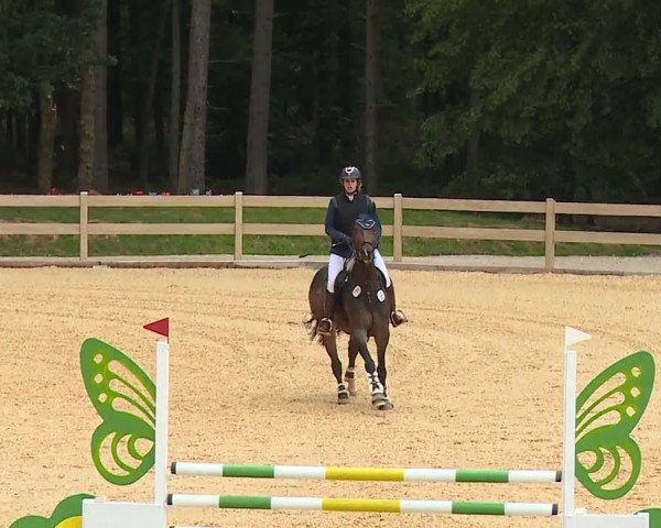 Reitturnier Tiefenhof 2023