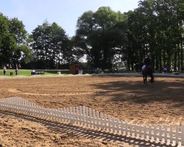 Reitturnier Zobbenitz 2023