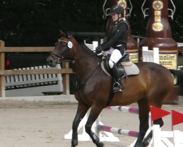 Reitturnier Alvern 2023
