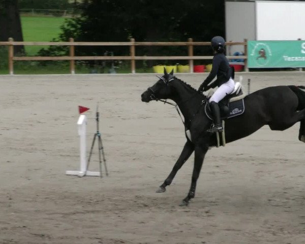 Reitturnier Alvern 2023