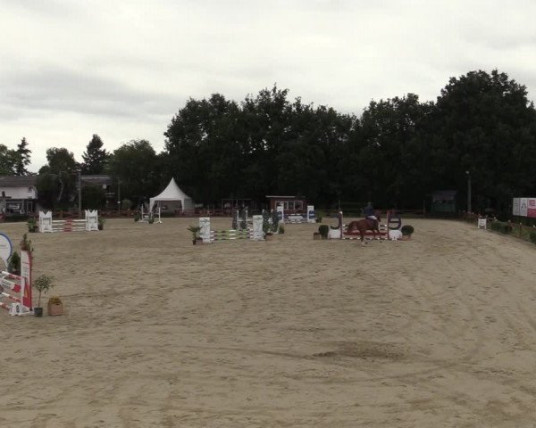 Equus Colonius - Reitanlage Brüse Köln 2021