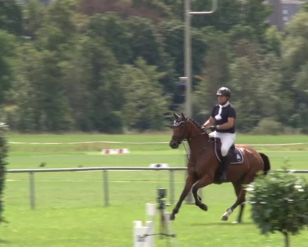 Reitturnier Bad Kissingen 2023