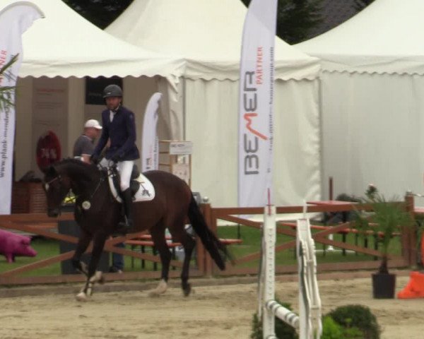 Equus Colonius - Reitanlage Brüse Köln 2021
