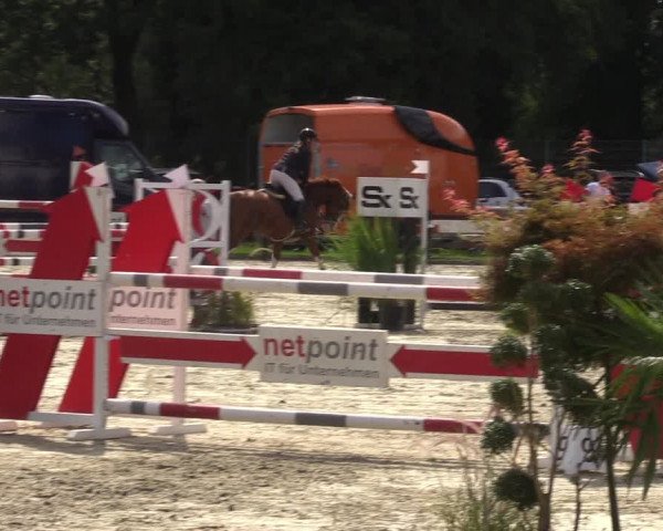 Reitturnier Nettetal-Lobberich 2023