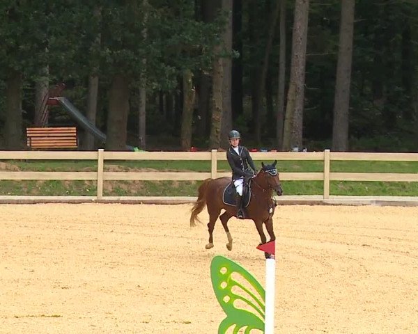 Reitturnier Tiefenhof 2023