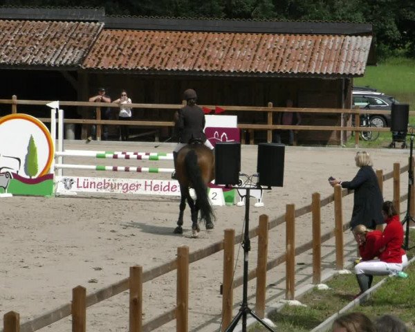 Reitturnier Alvern 2023