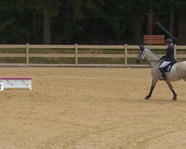 Reitturnier Tiefenhof 2023
