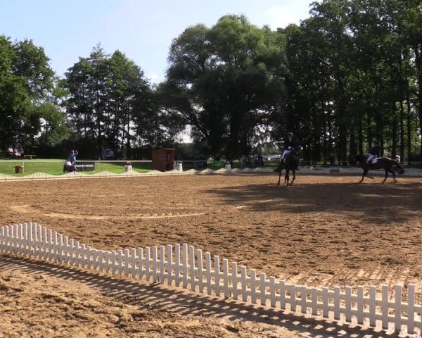 Reitturnier Zobbenitz 2023