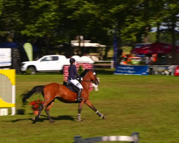 Reitturnier Zobbenitz 2023